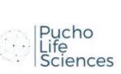 pucho-ai